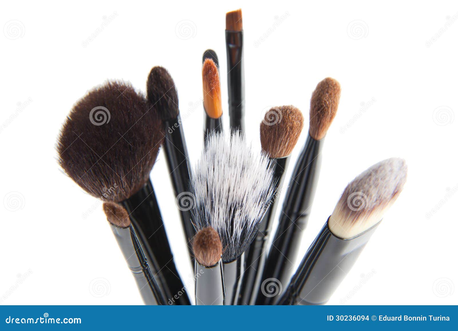 Makeup Brushes on a White Background Stock Photo Image of accessories