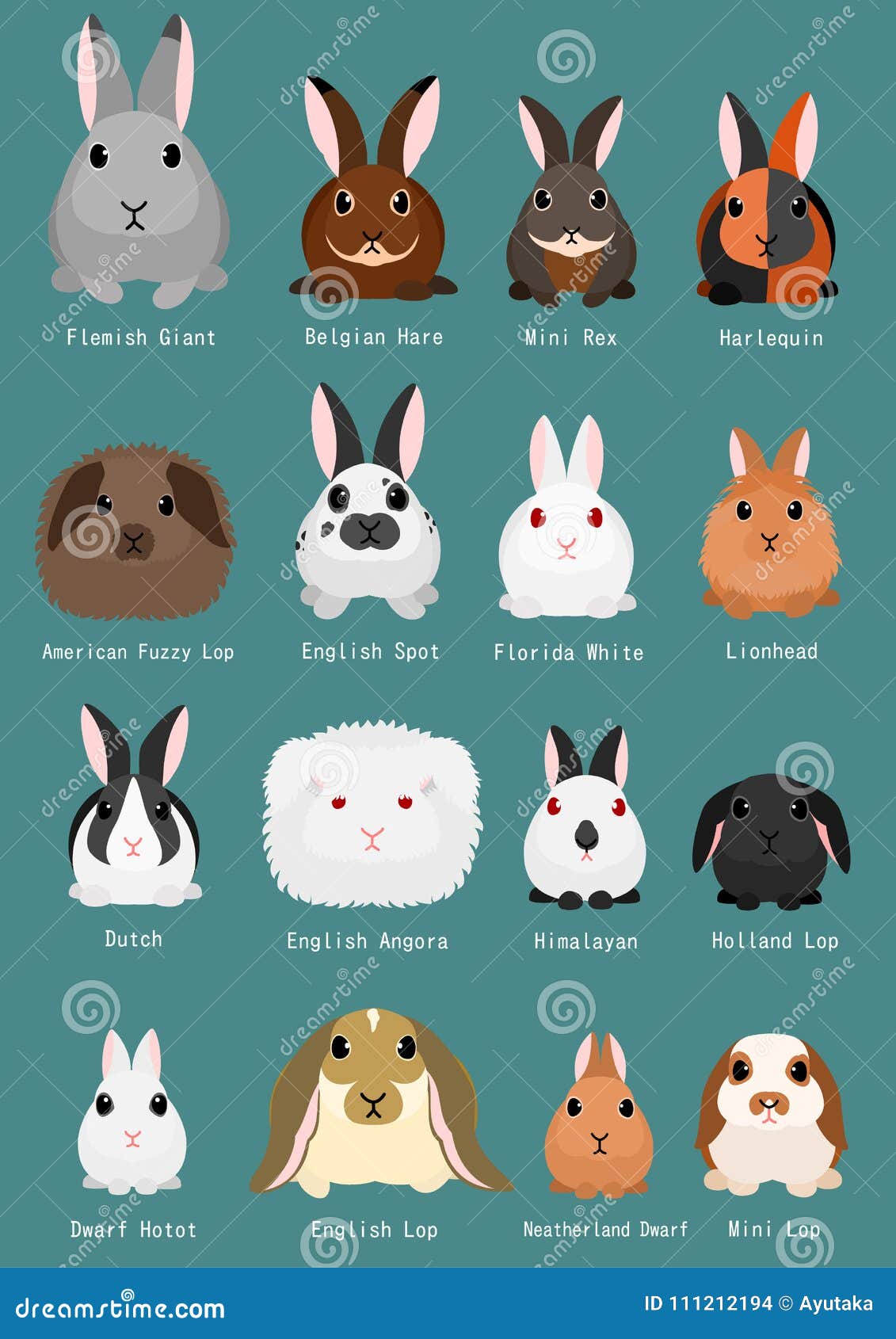 Rabbit Chart