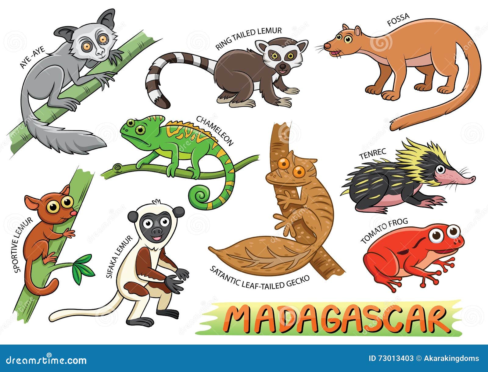 Set of Cute Cartoon Animals and in the Madagascar Areas Stock Vector -  Illustration of sportivelemur, wildlife: 73013403