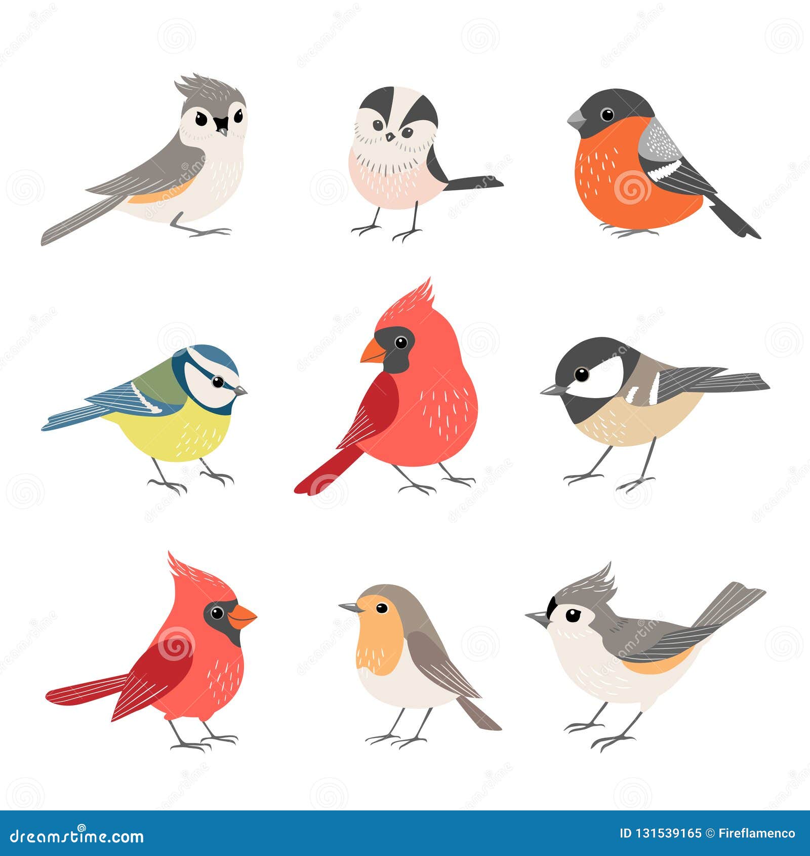 collection of cute winter birds