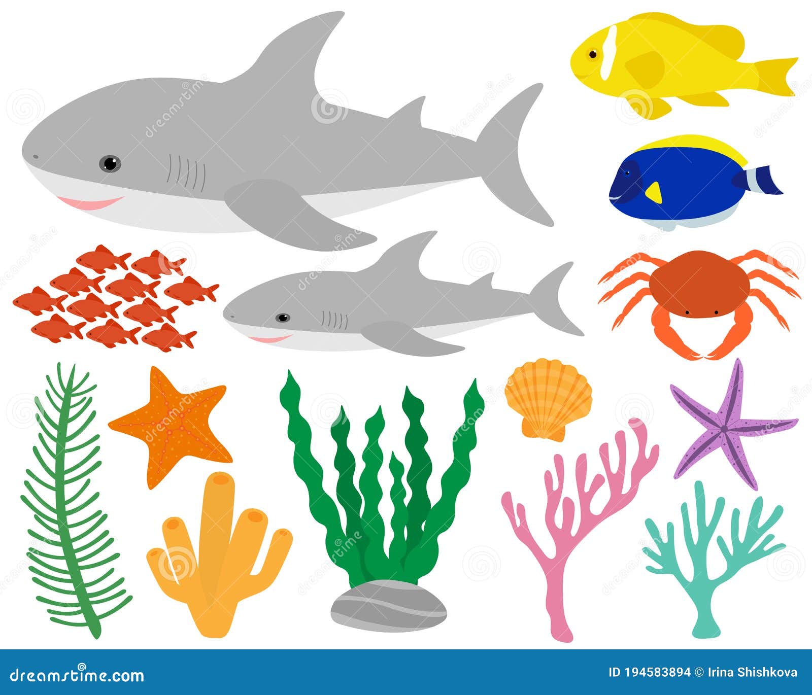 Set Cute Shark And Sea Elements Fish Crab Algae Corals Seashell Starfish Vector Illustration Stock Illustration Illustration Of Icon Dolphin Set Cute Shark And Sea Elements Fish Crab Algae Corals Seashell Starfish Vector Illustration Stock Illustration Illustration Of Icon Dolphin
