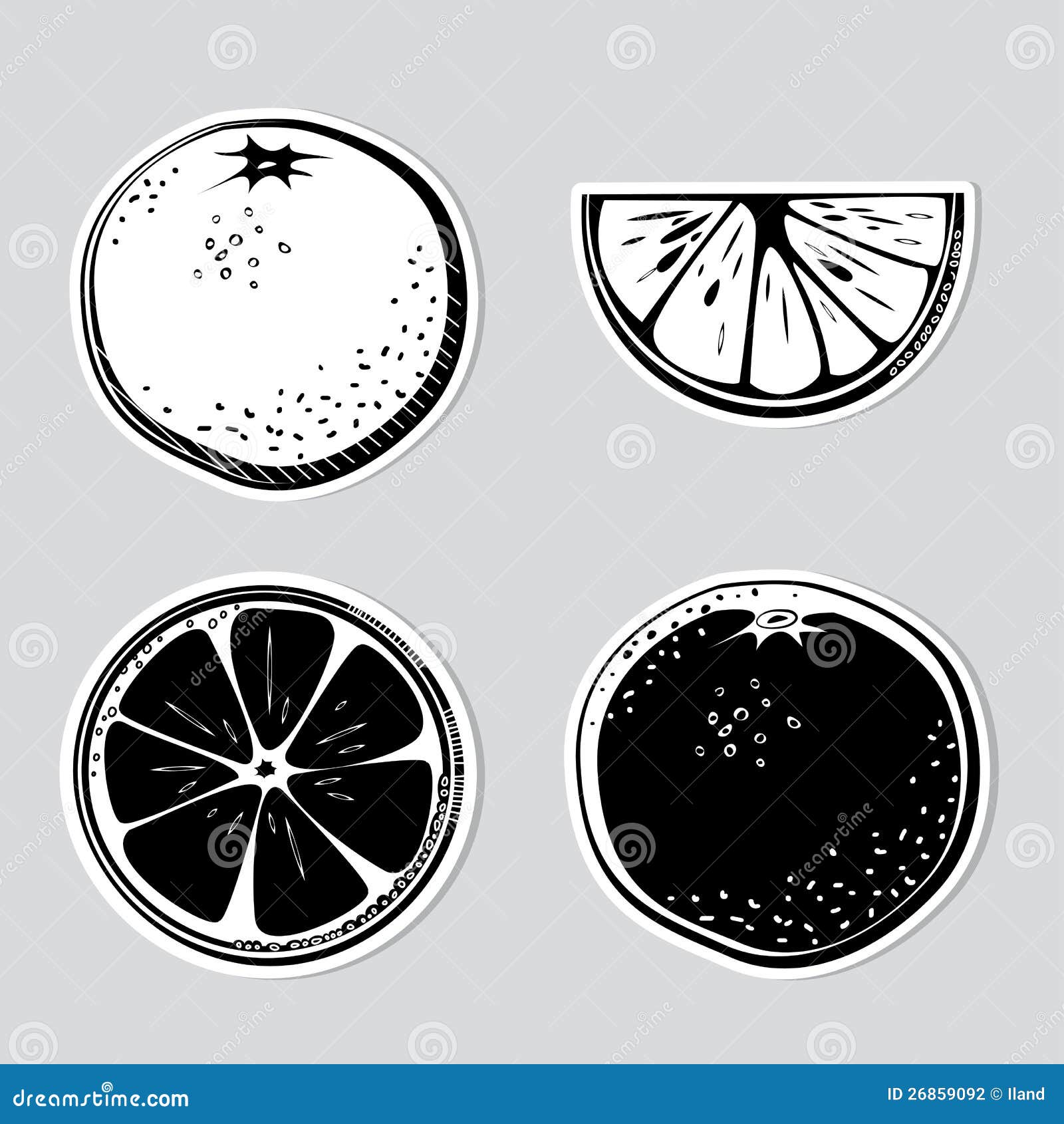 Set of decorative oranges stock illustration. Illustration of food