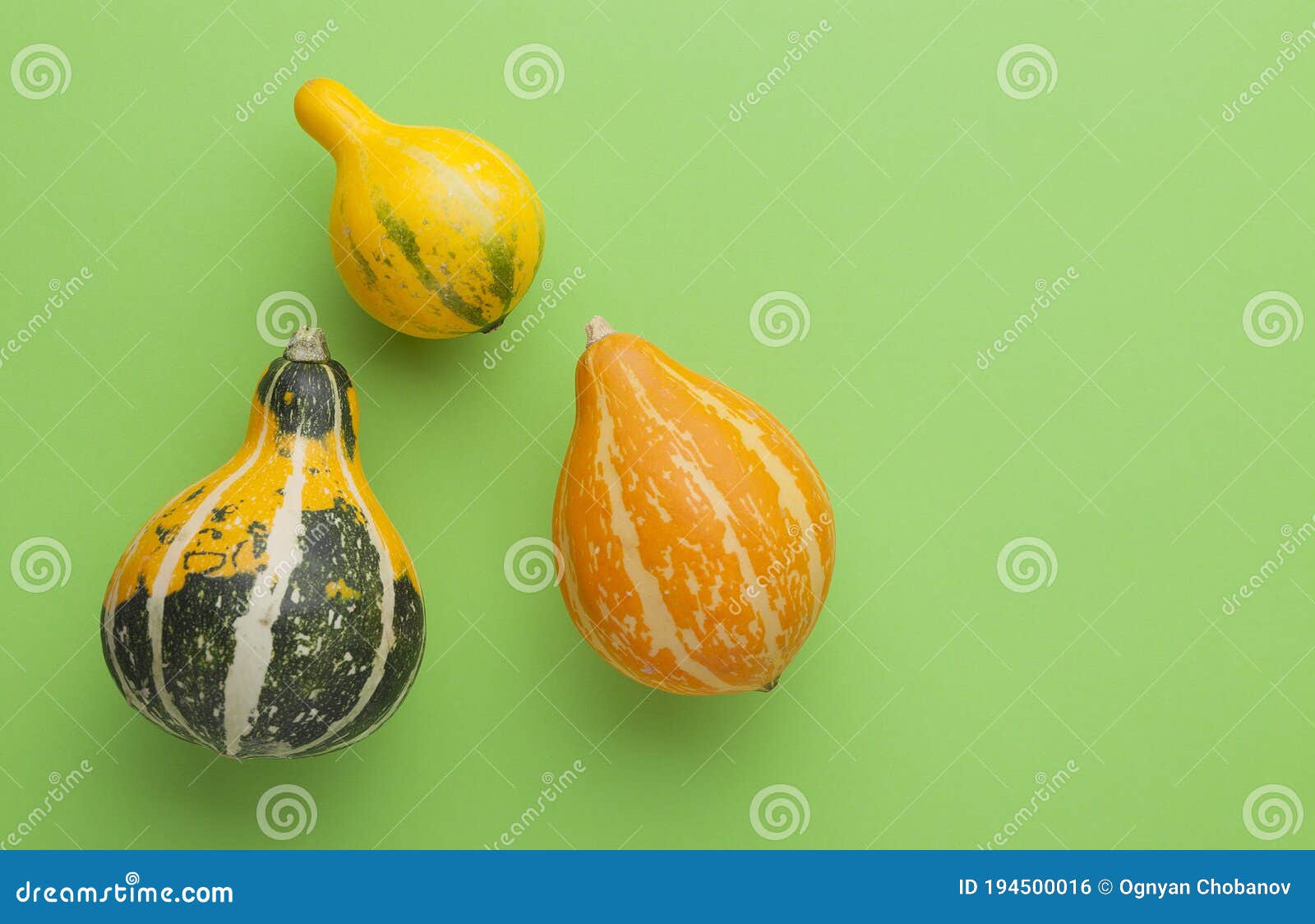 Set of 3 Decorative Pumpkins Stock Photo Image of health, giving