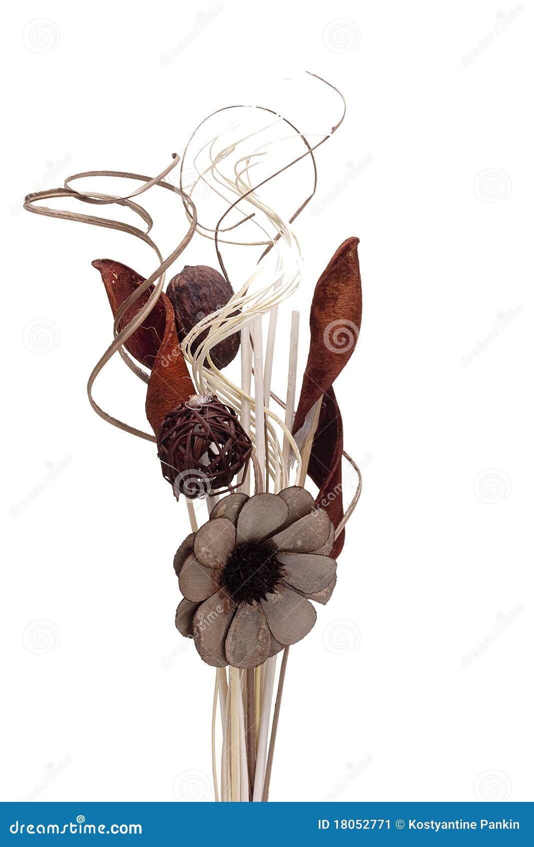Set of decorative twigs stock image. Image of aroma, treatment 18052771