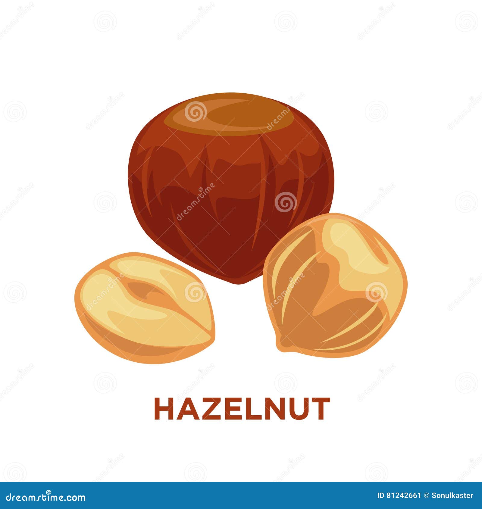 Set of Detailed Cartoon Hazelnuts Isolated Stock Vector Illustration
