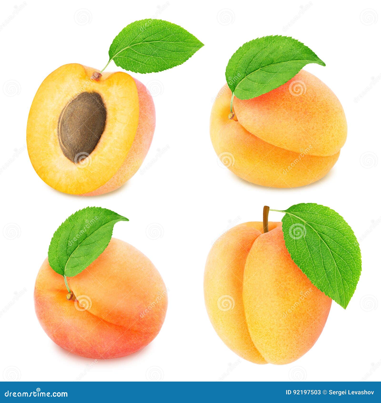 Set of Different Apricot Fruits Isolated Stock Image Image of element