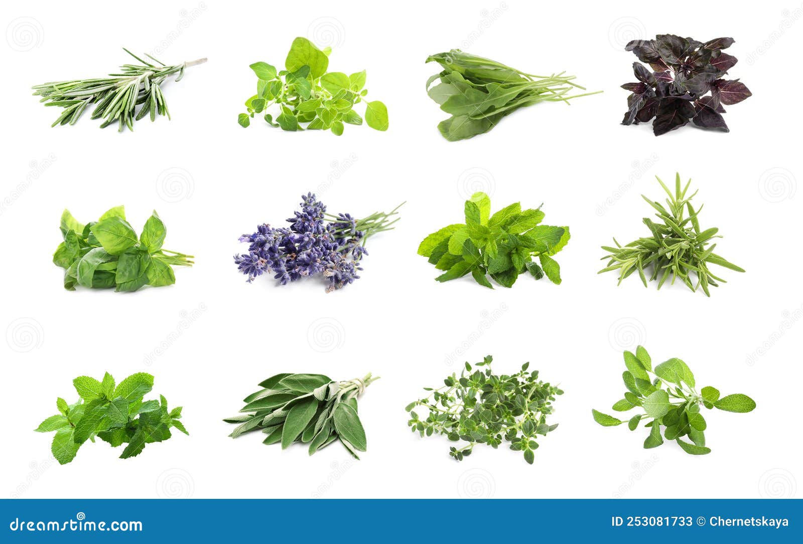 Set with Different Aromatic Herbs on Background Stock Image Image of