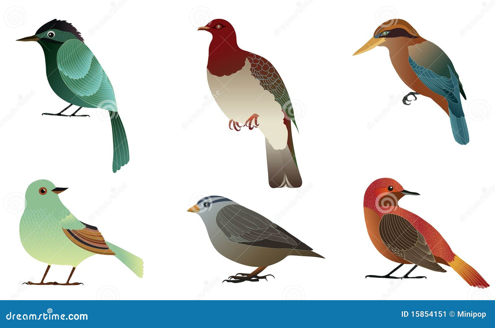 Set of different birds. stock vector. Illustration of claw - 15854151