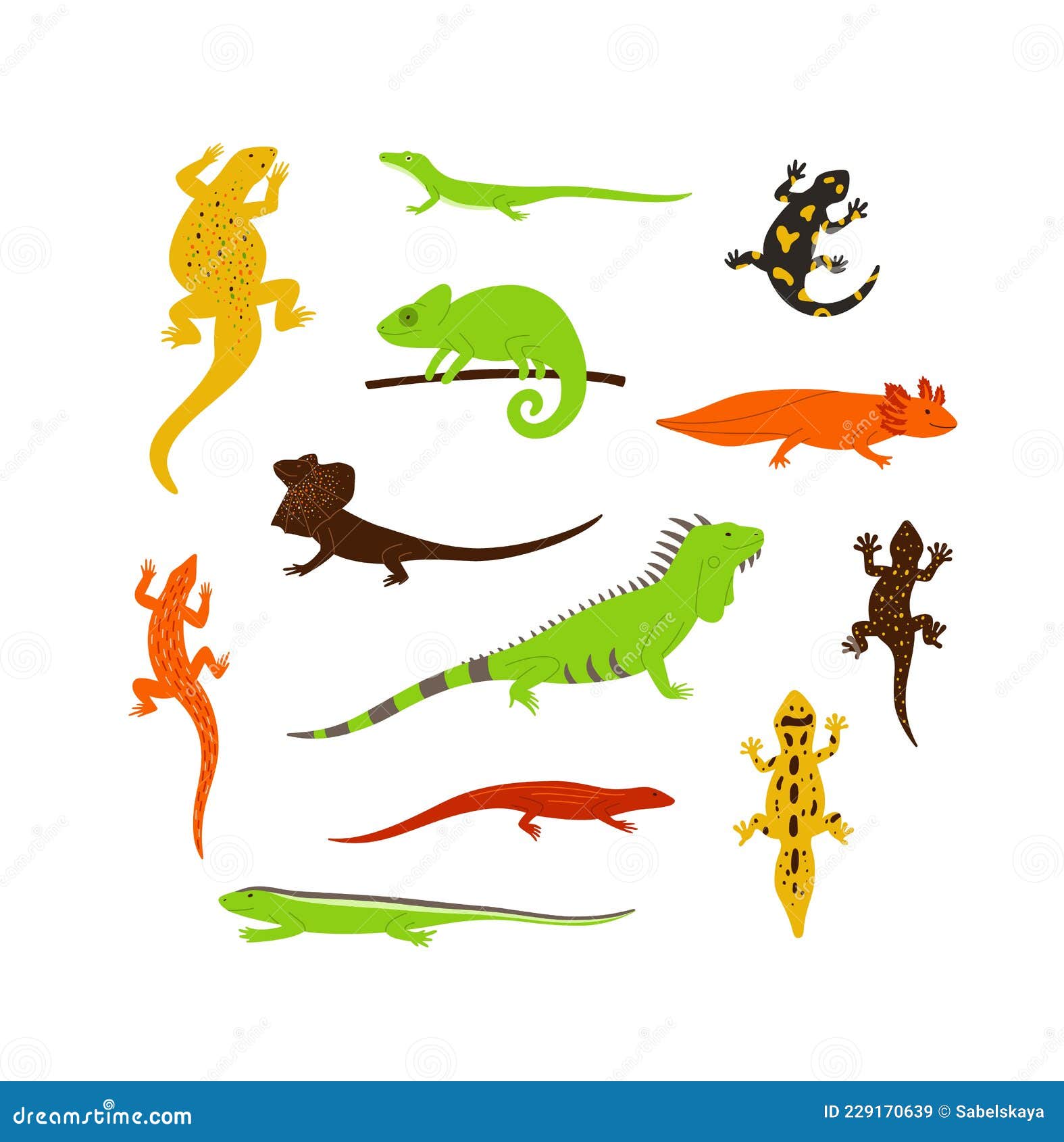 Set of Different Color Wild Lizards, Chameleons and Other Animals Reptiles.  Stock Vector - Illustration of reptile, white: 229170639
