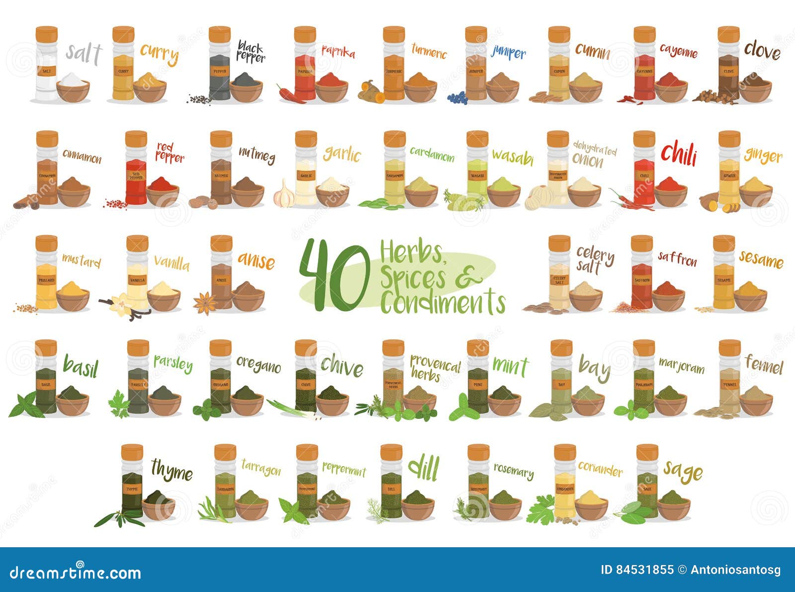 set of 40 different culinary herbs, species and condiments in cartoon style.  