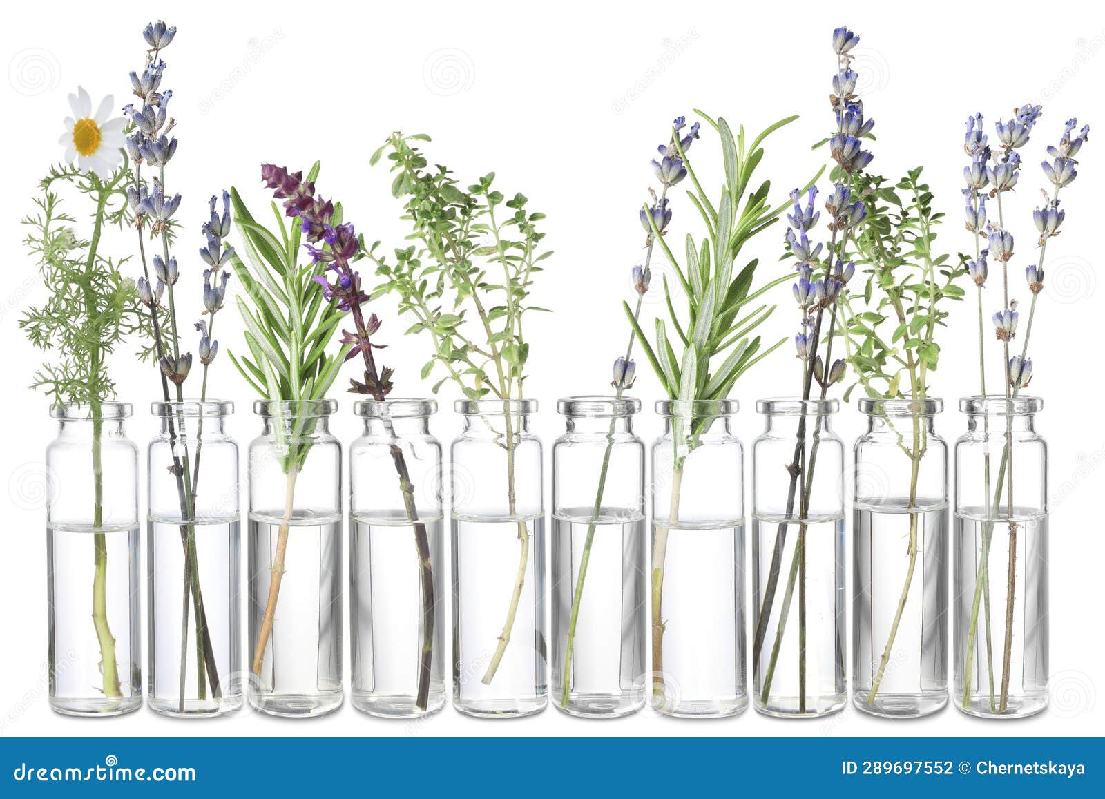 Set of Different Essential Oils with Herbs Isolated on White Stock