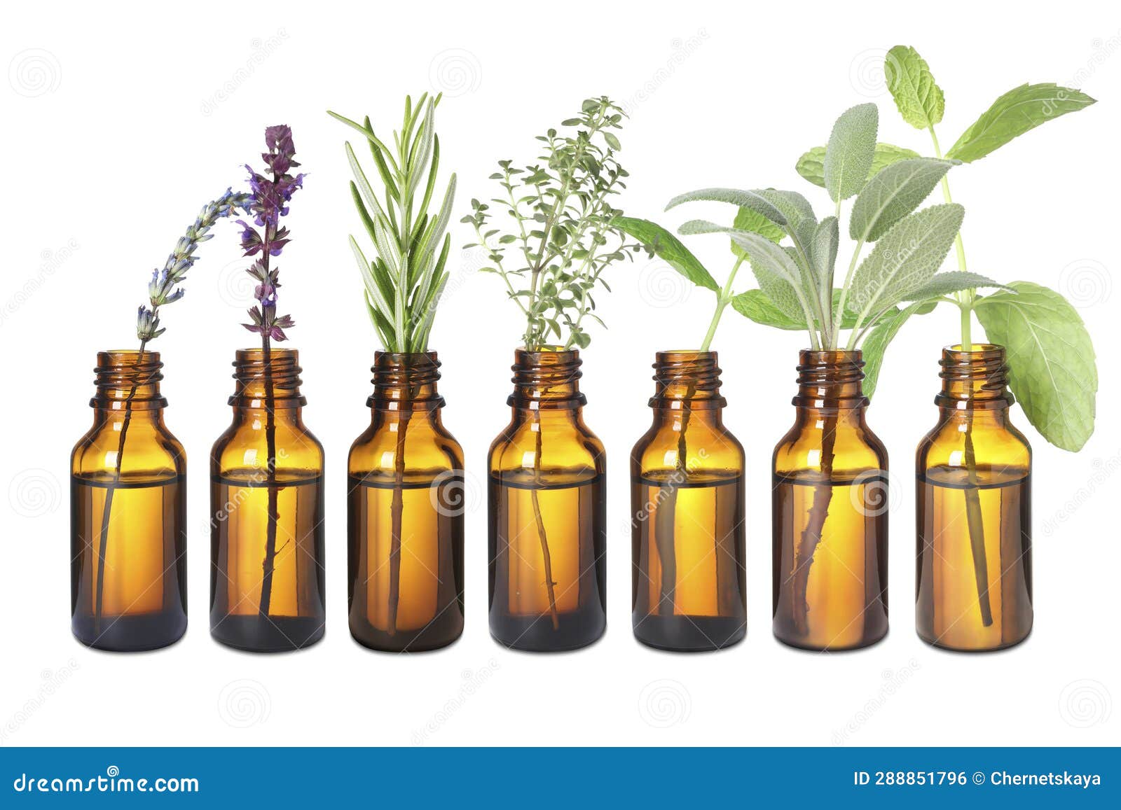 Set of Different Essential Oils with Herbs Isolated on White Stock