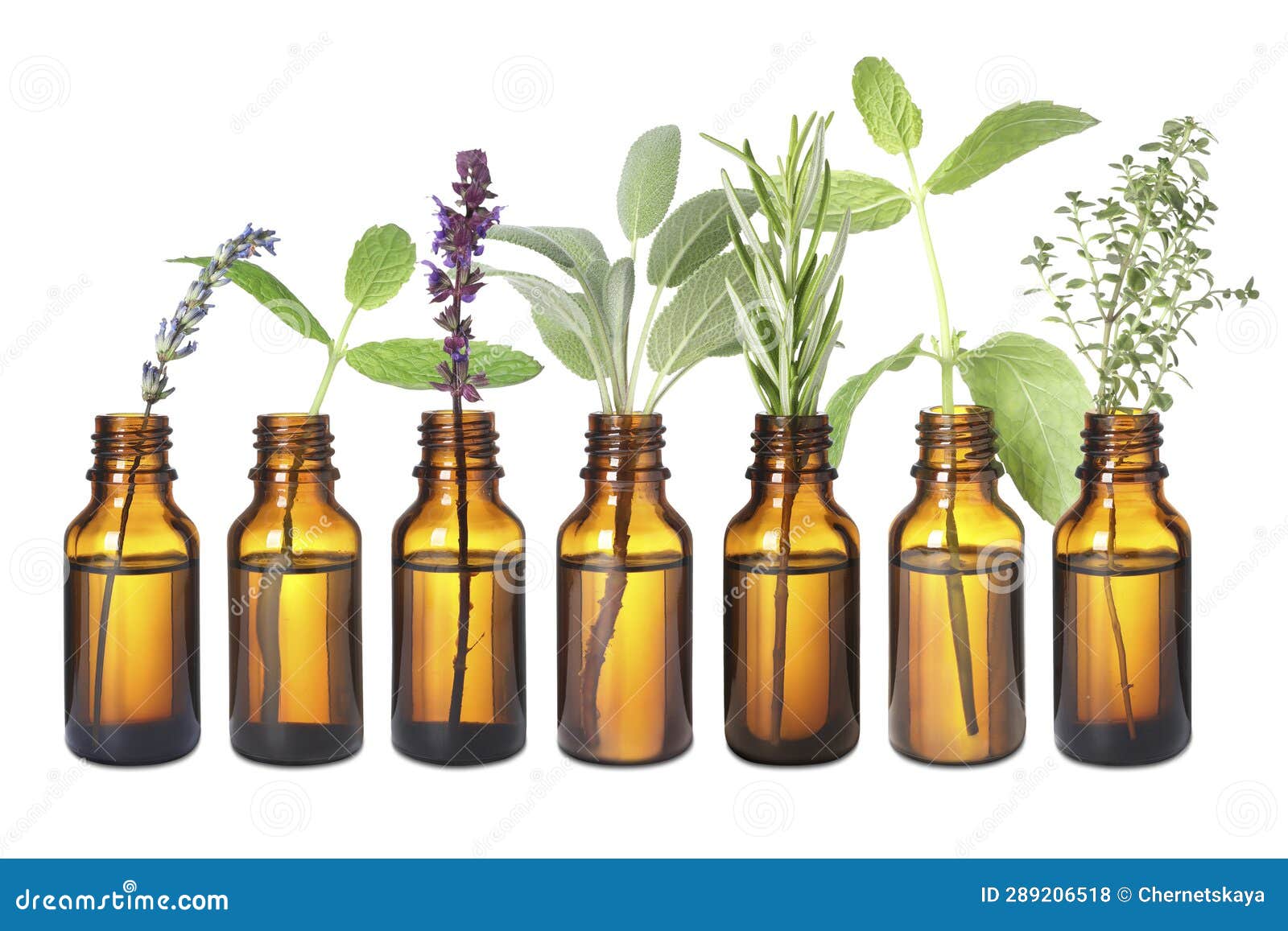 Set of Different Essential Oils with Herbs Isolated on White Stock