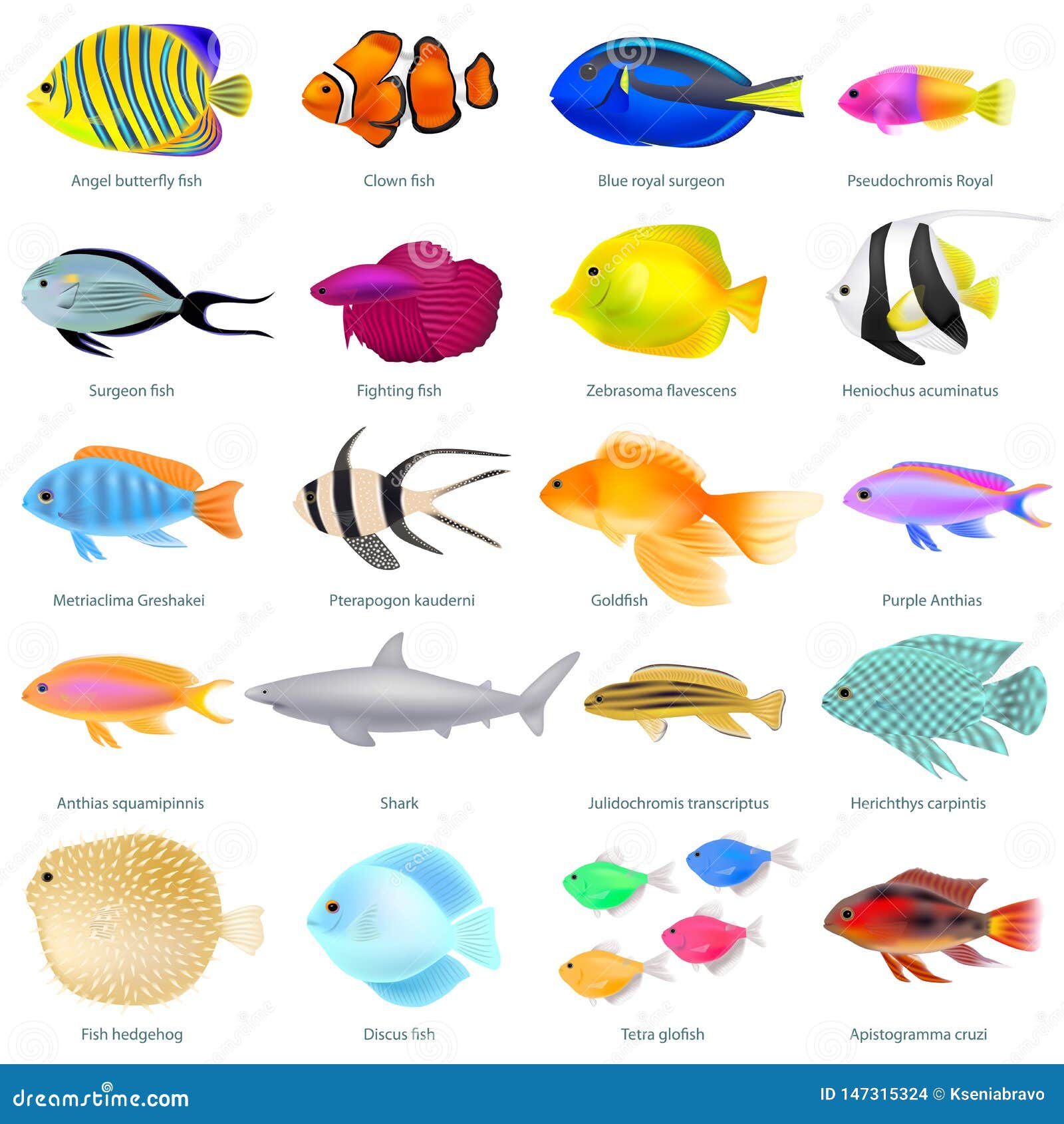 A Set of Different Fish, Colorful Three-dimensional, Vector Stock Vector -  Illustration of aquarium, angel: 147315324
