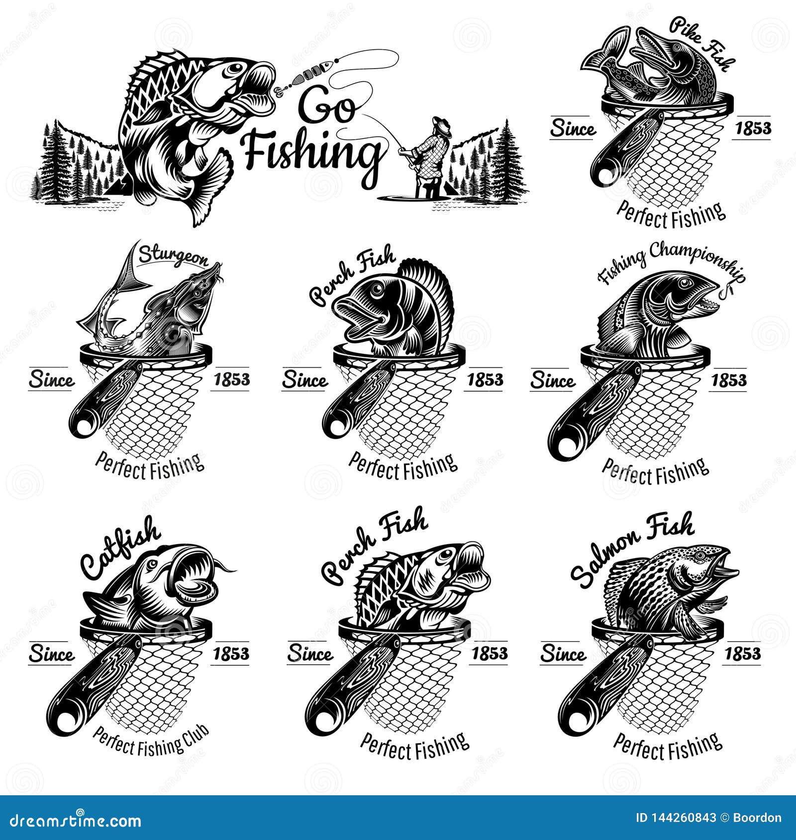 Set of Different Fishes Head Up from Landing Net in Engraving