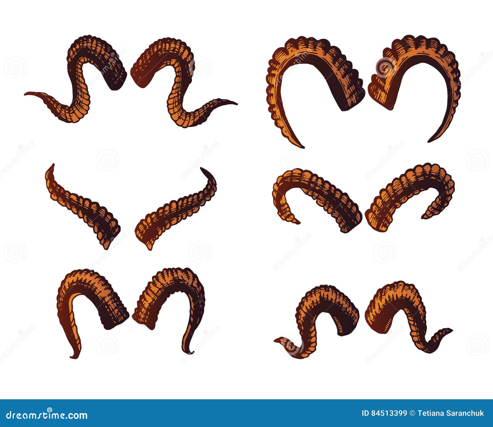 Set of Different Goat Horns Isolated on White Stock Vector