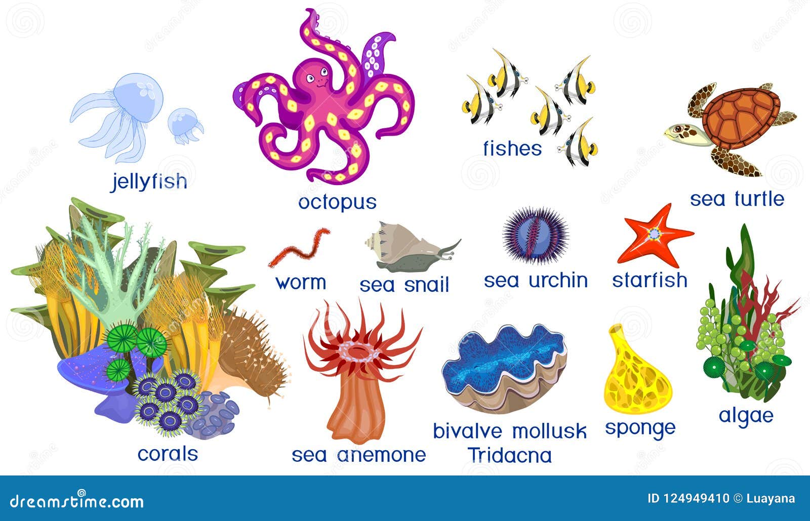 set of different marine inhabitants  on white background with titles
