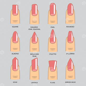 Set of Different Shapes of Nails on Gray. Nail Shape Icons Stock Vector ...