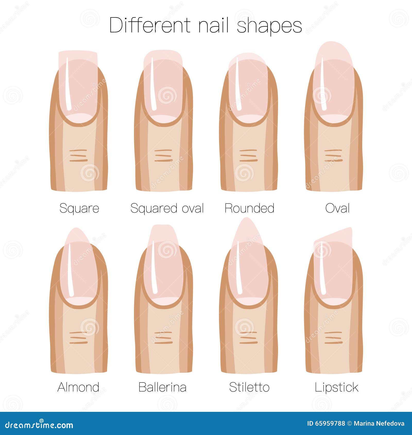 Set of Different Shapes of Nails Stock Illustration - Illustration of  salon, emulsion: 65959788