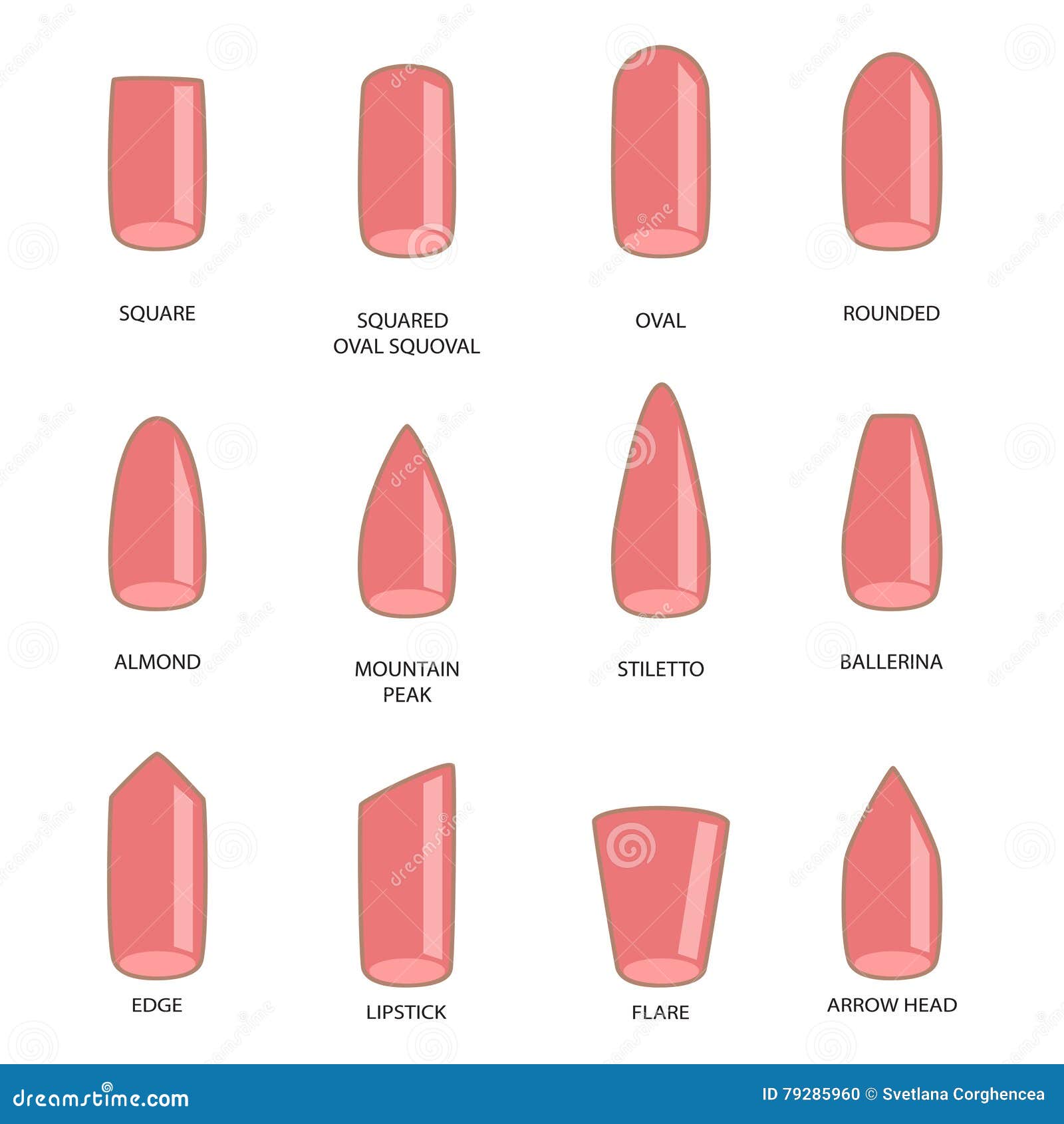 Set of Different Shapes of Nails on White. Nail Shape Icons Stock Vector - Illustration of ballerina, beauty: 79285960 Set of Different Shapes of Nails on White. Nail Shape Icons Stock Vector - Illustration of ballerina, beauty: 79285960