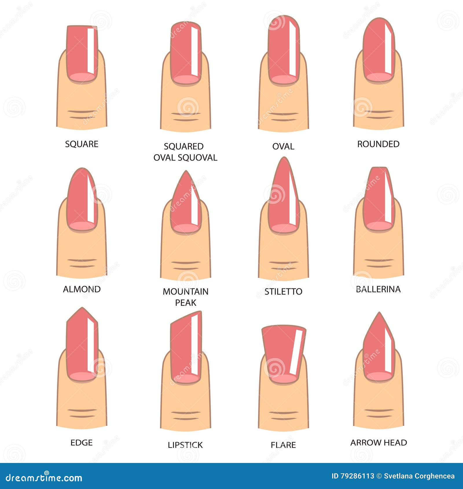 Set of Different Shapes of Nails on White. Nail Shape Icons Stock ...