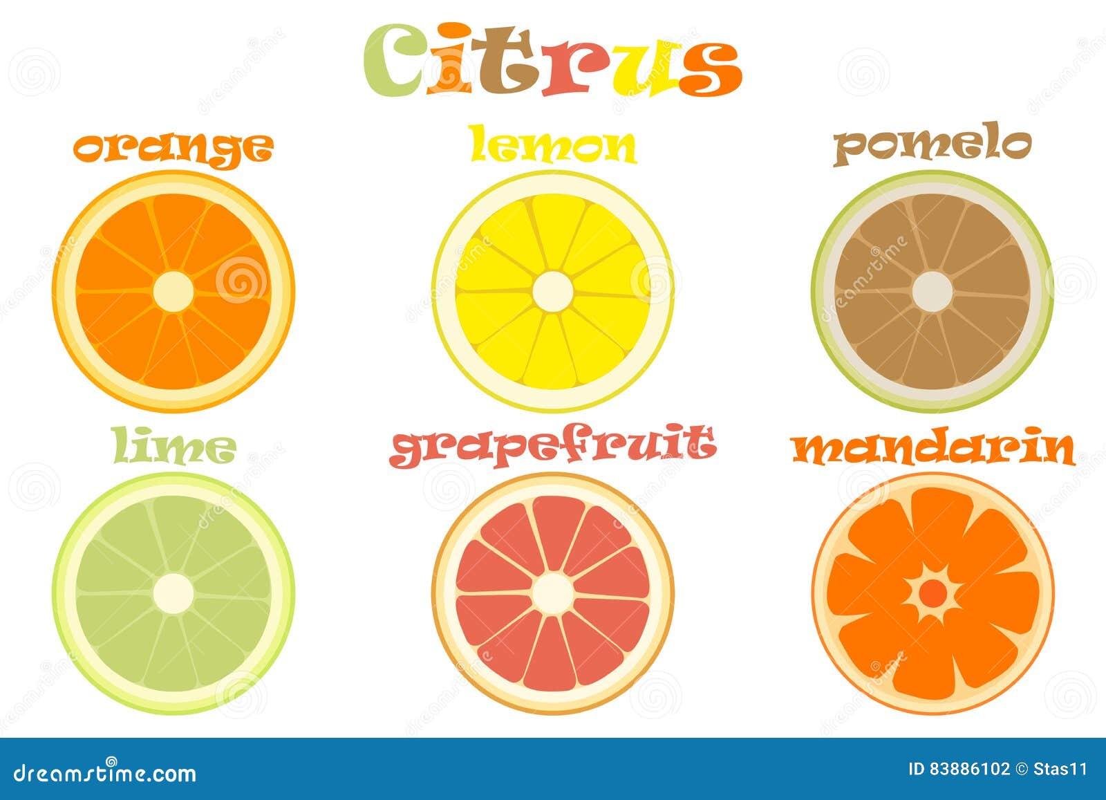 Set Of Different Types Of Citrus Fruits With Names Stock ...