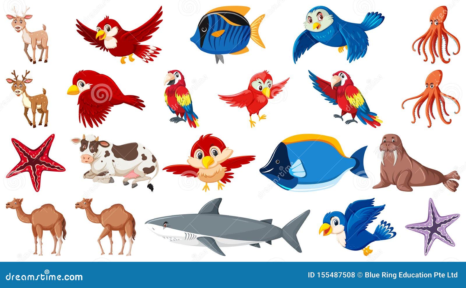Set of Different Types of Sea Animals and Birds Stock Vector ...