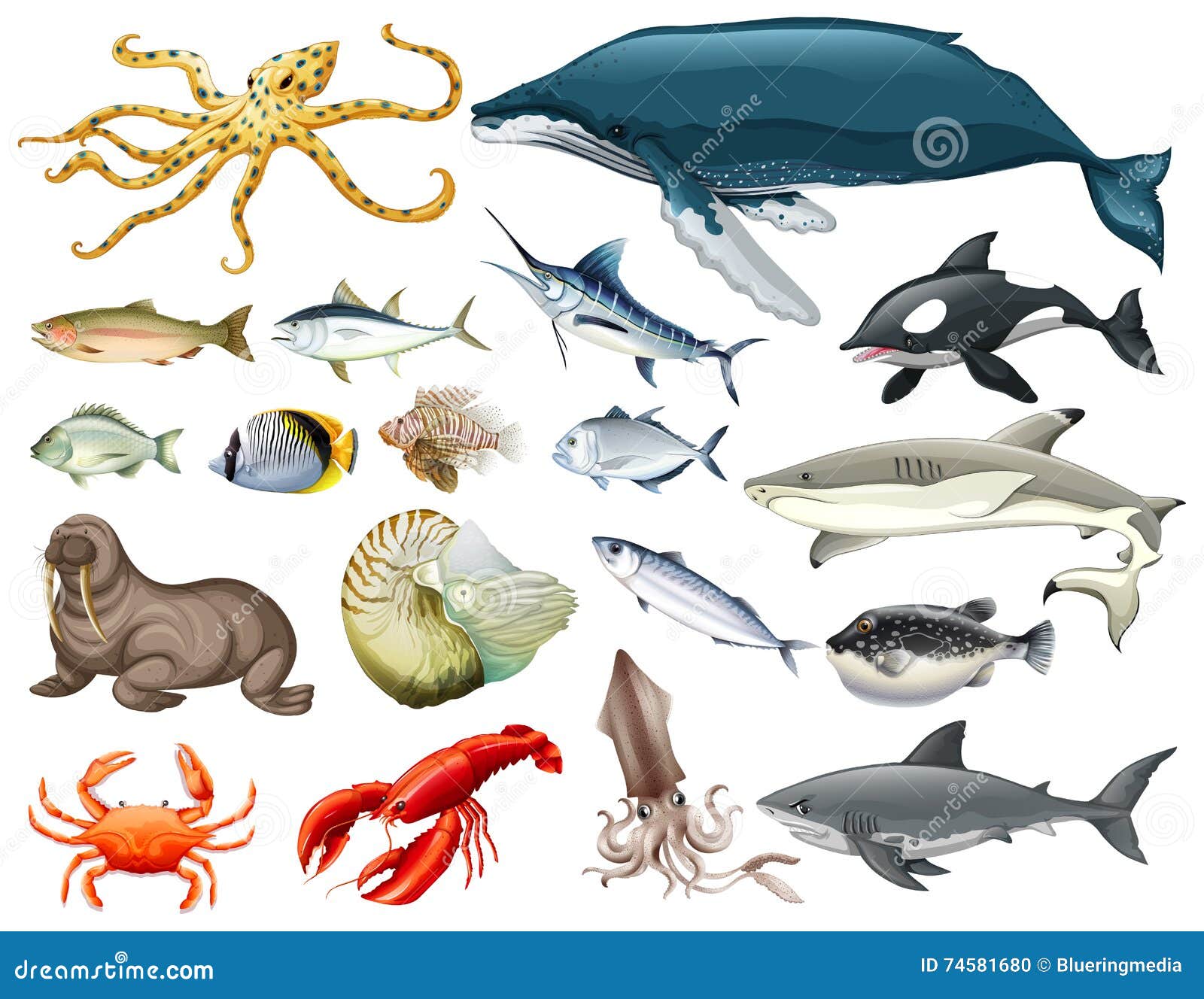 Set of Different Types of Sea Animals Stock Vector - Illustration of group,  clipping: 74581680