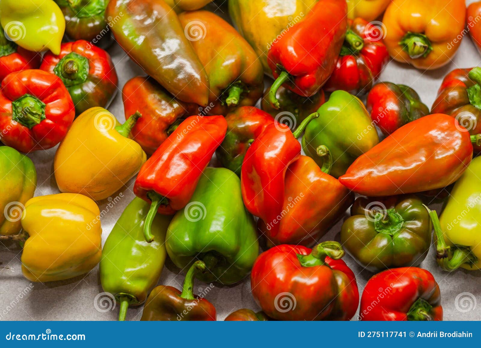 A Set of Different Varieties of Sweet Peppers Stock Image Image of