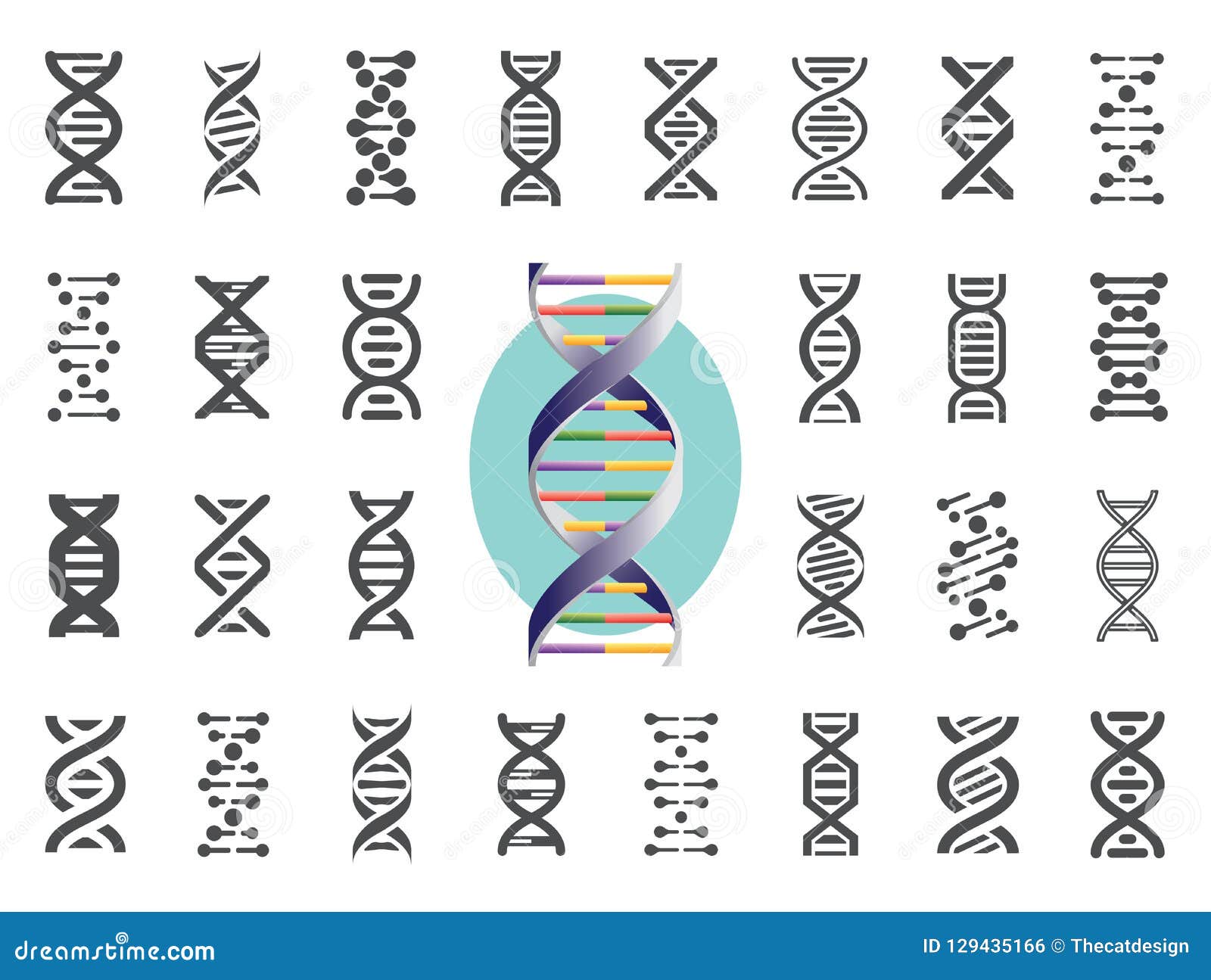 set of dna icons. human genetic variation.  .
