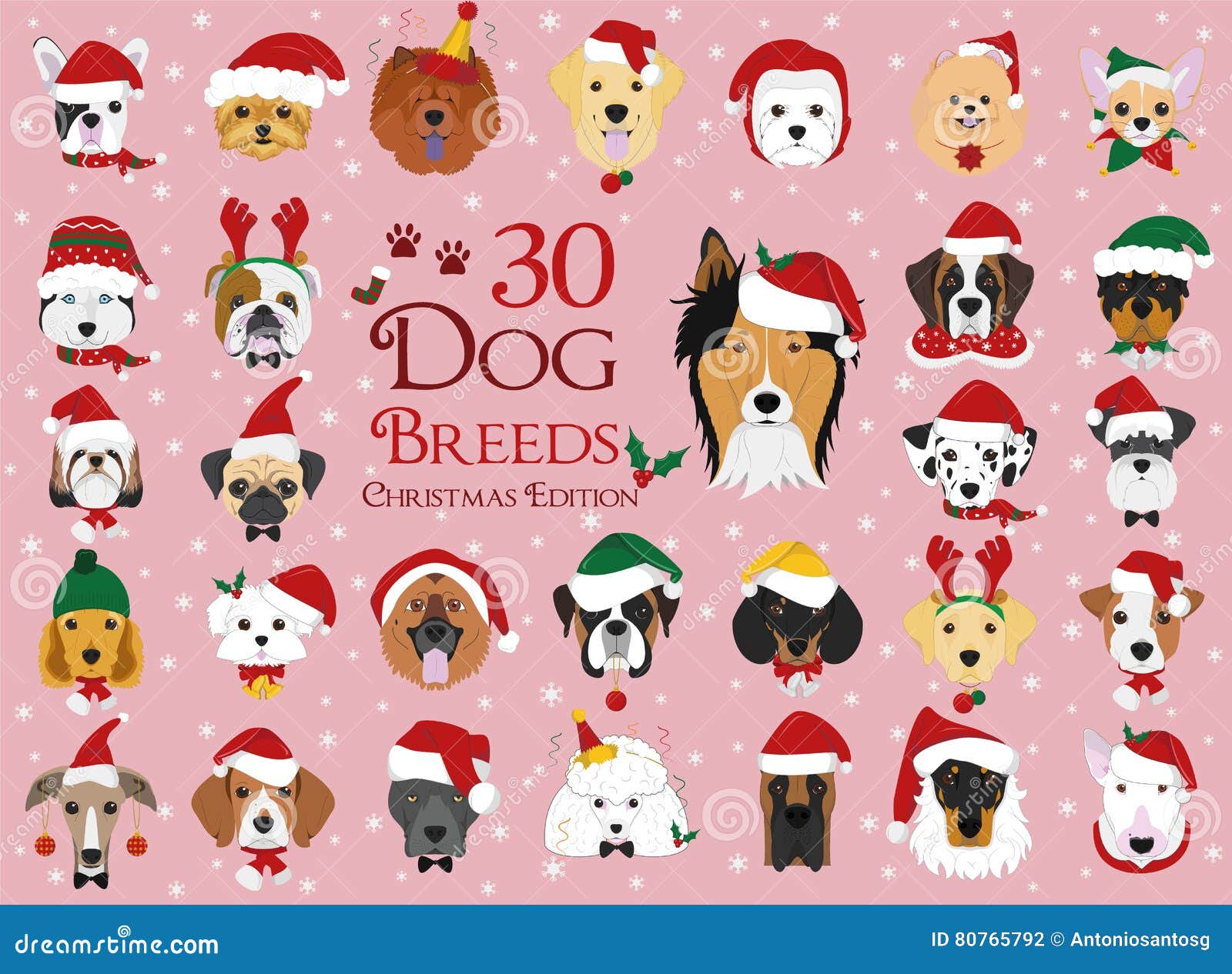 set of 30 dog breeds with christmas and winter themes