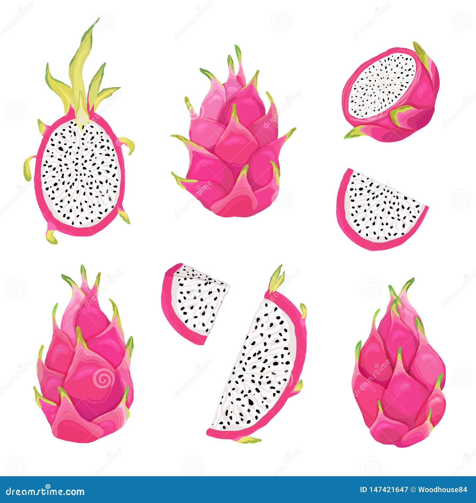 Set Of Dragon Fruits And Pitaya Illustration Design Elements. Hand ...