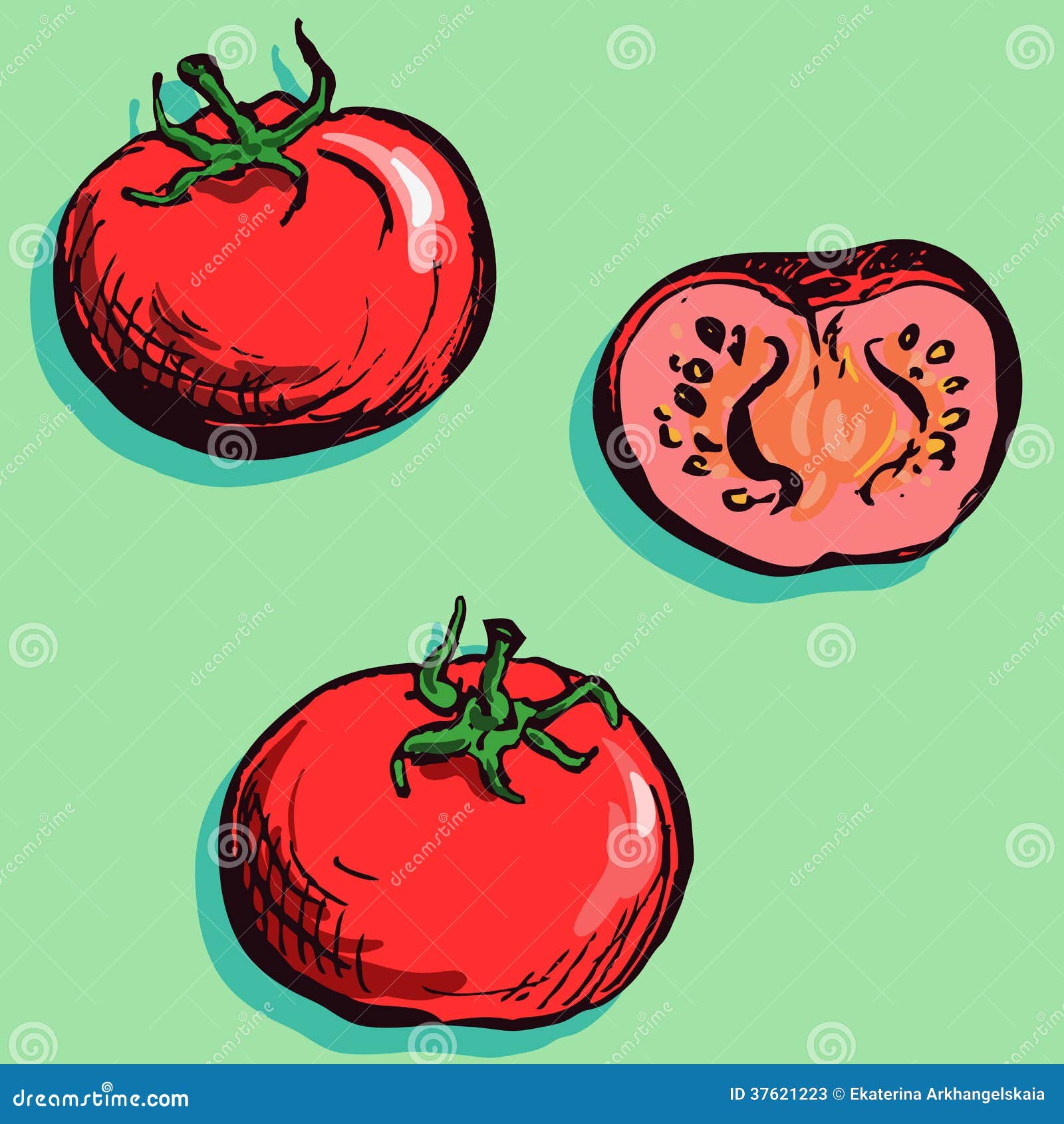Set of drawing vegetables stock vector. Illustration of tomato - 37621223
