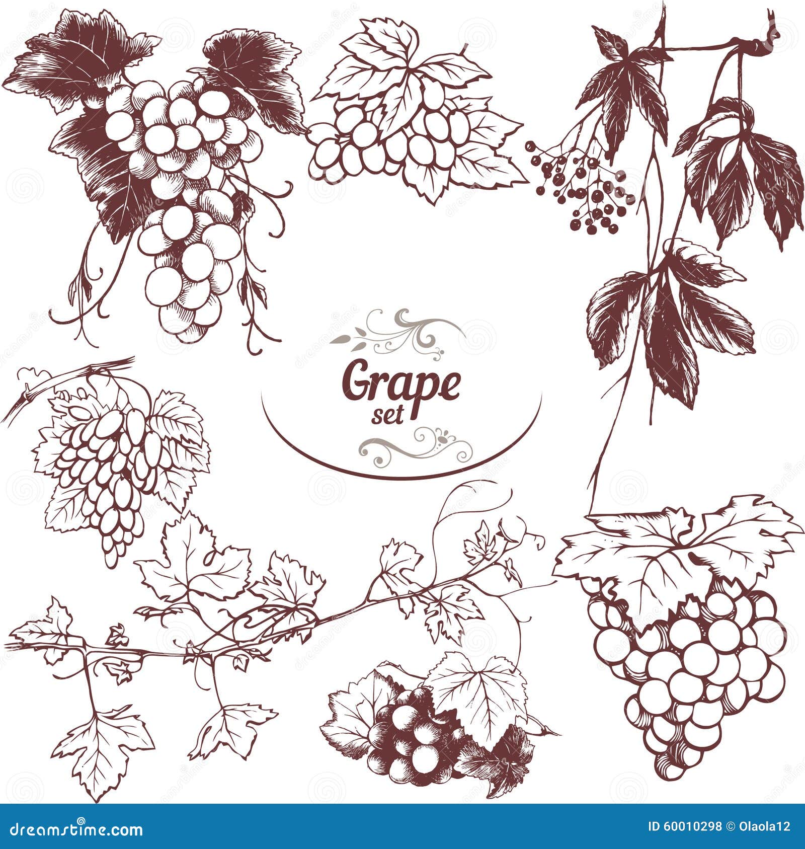 Set of drawings grapes stock vector Illustration of decorative 60010298