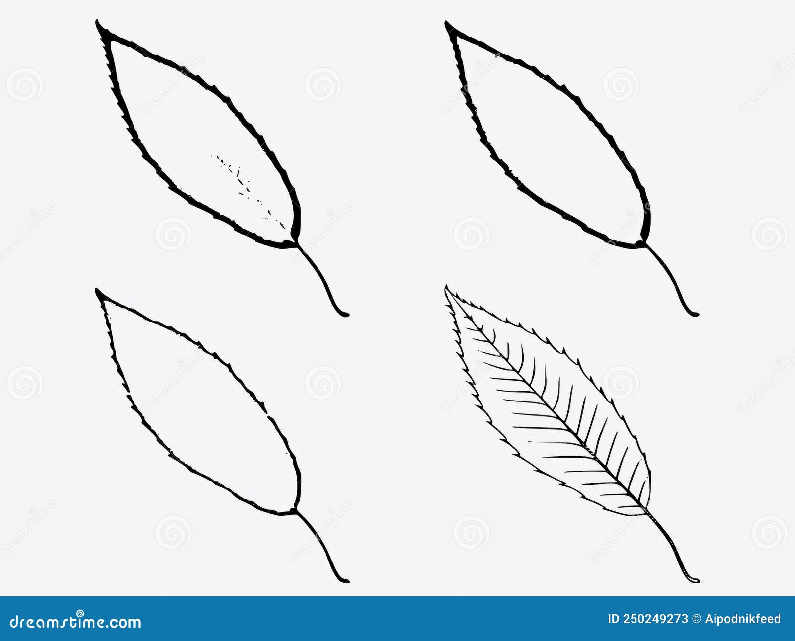 Set of Drawn Tree Leaves in Vector Stock Illustration Illustration of