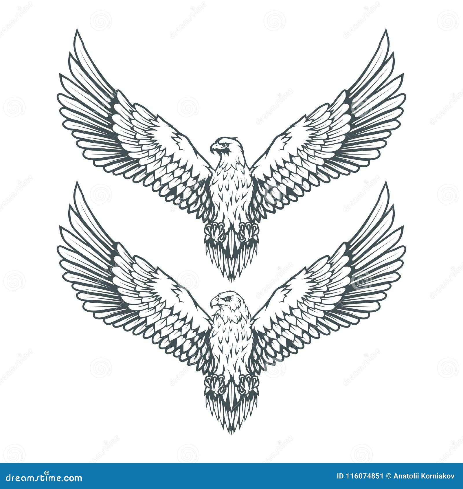 One single line drawing of strong eagle bird  Stock Illustration  99301138  PIXTA