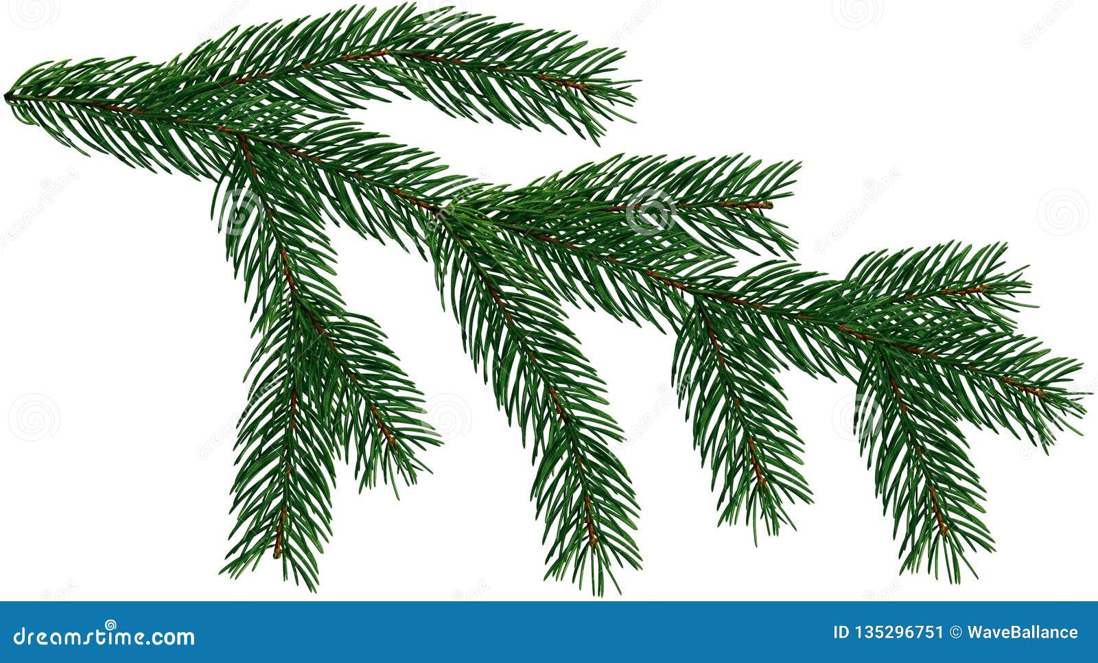 Giáng sinh đang đến rất gần và cây thông Giáng sinh là biểu tượng của mùa đông. Nếu bạn đang tìm kiếm một cây thông đẹp để trang trí cho mùa Giáng sinh sắp tới, hãy tham khảo hình ảnh liên quan đến từ khóa \