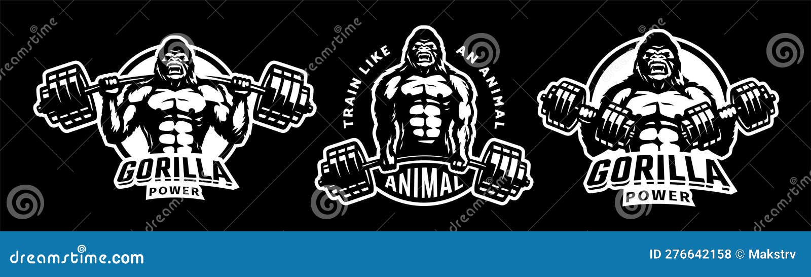 Gym, Iron Gorilla Gym