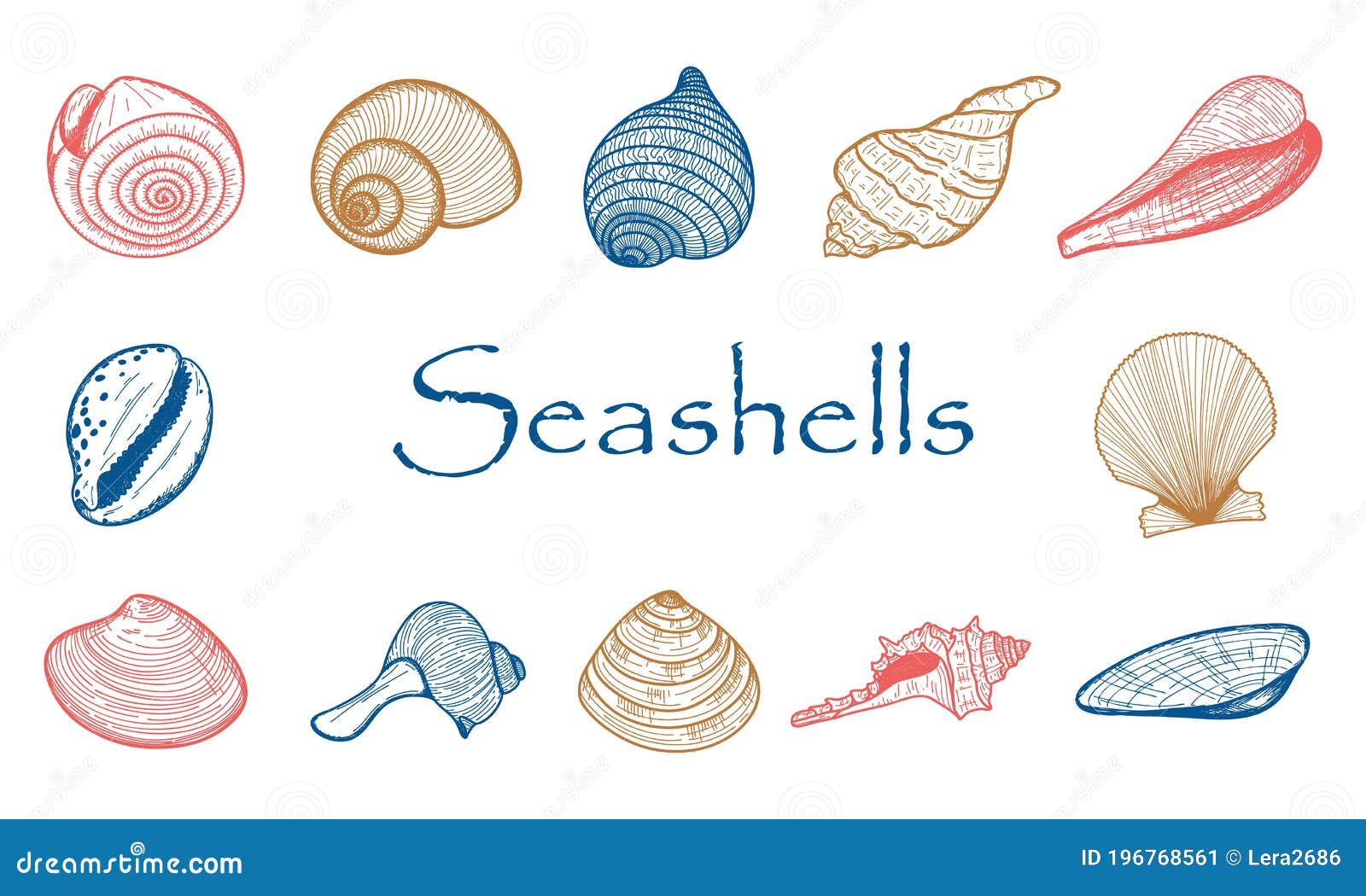 Nautilus Drawing Stock Illustrations 2 657 Nautilus Drawing Stock Illustrations Vectors Clipart Dreamstime Nautilus Drawing Stock Illustrations 2 657 Nautilus Drawing Stock Illustrations Vectors Clipart Dreamstime