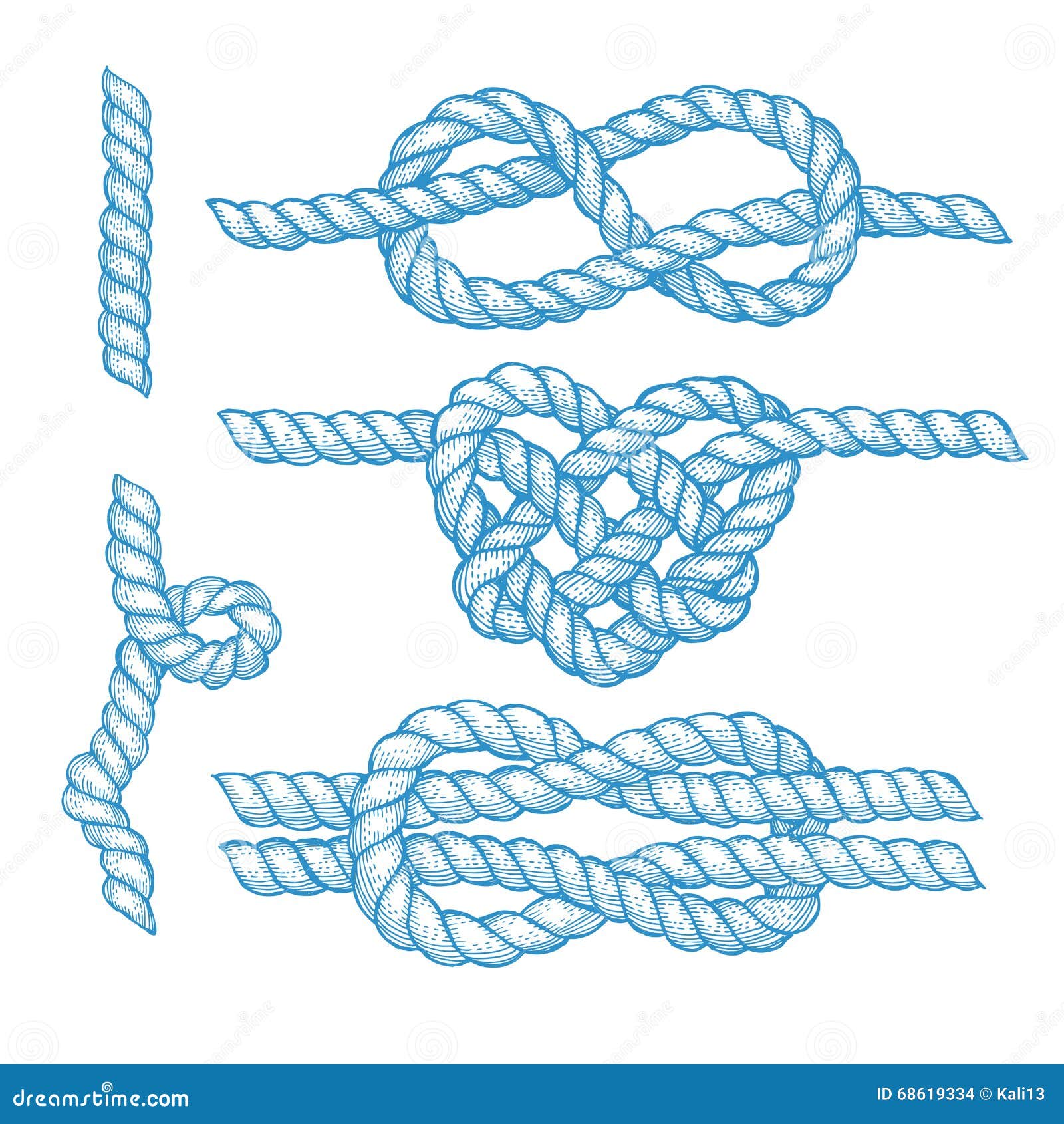 Set of Engraved Knots and Ropes Stock Vector Illustration of string