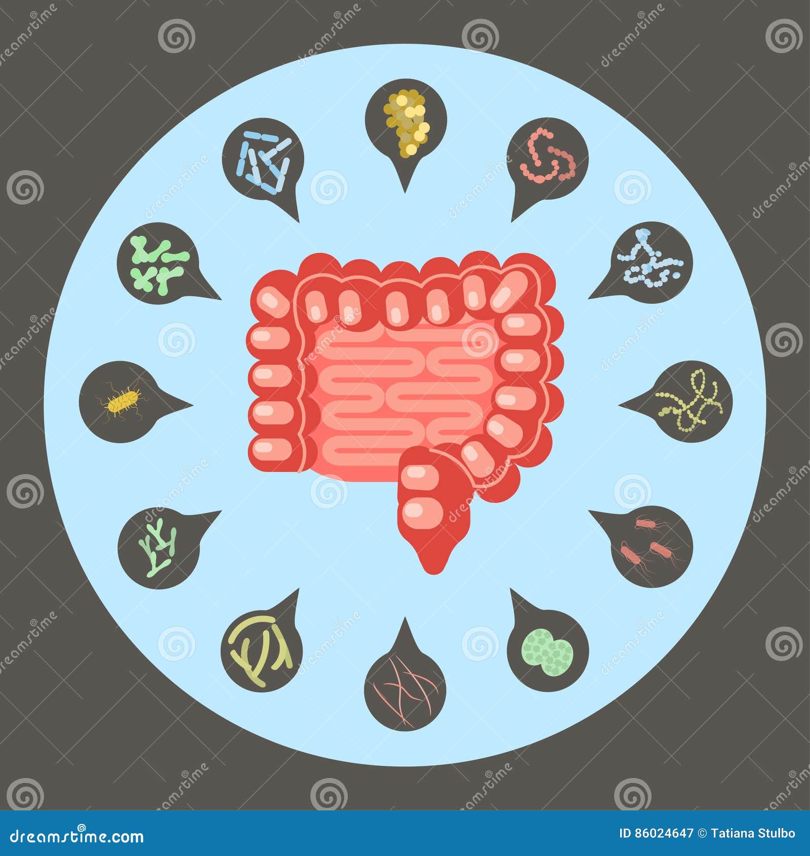 set of enteric bacteria