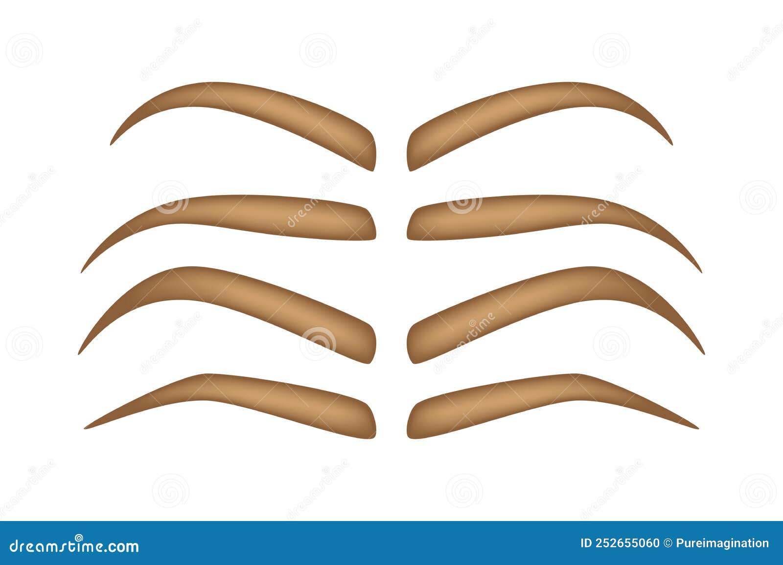 Eyebrow Shapes Chart With Brow Types Vector Illustration