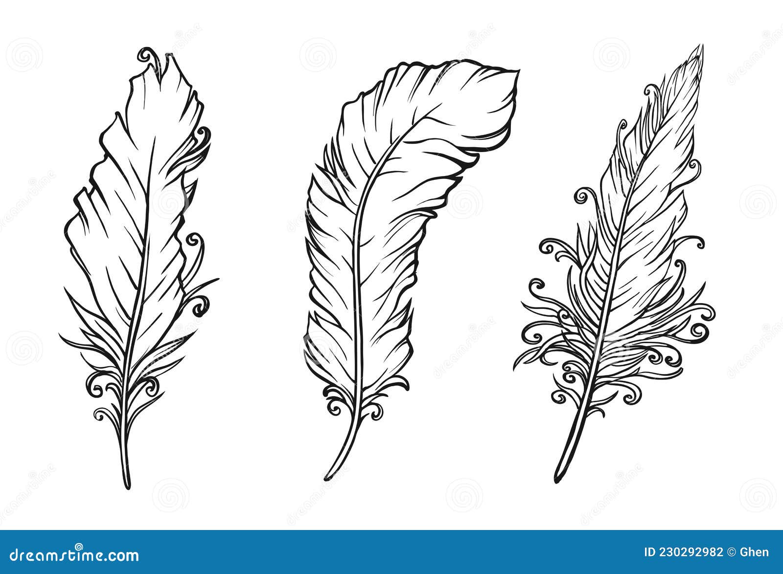 Set of Feathers Drawing. Vector Illustration Stock Vector