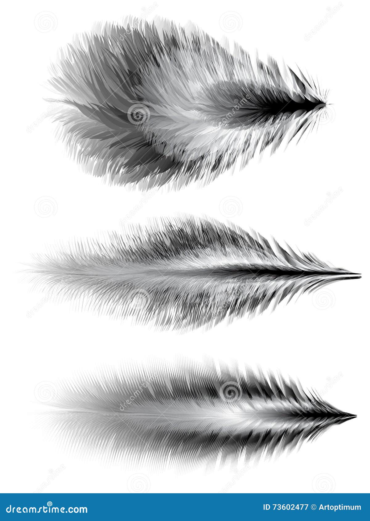 set of feathers. 