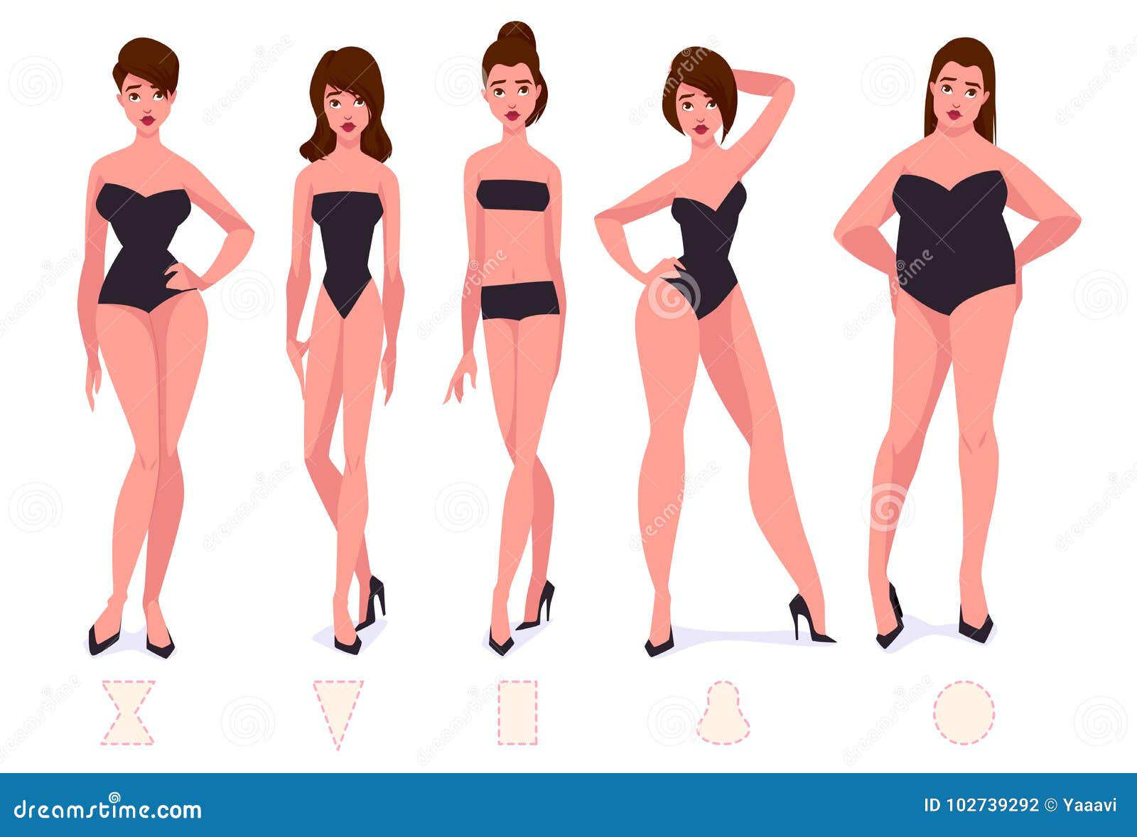 Human Body Shapes Woman Breast Form Set Bra Types Vector Stock