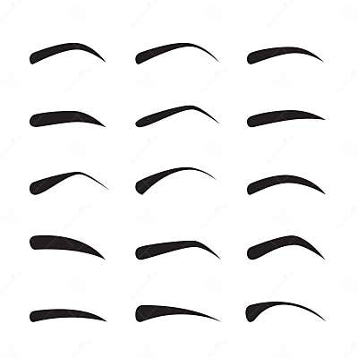 Set of Female Eyebrows in Different Shapes and Types Stock Vector ...