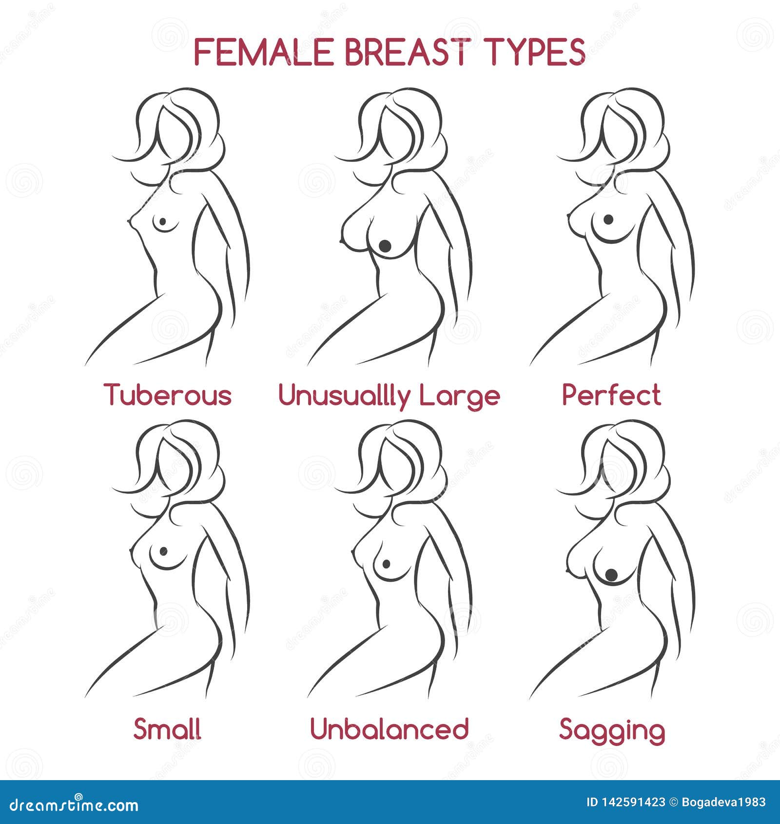 Female Breast Types stock vector. Illustration of human - 142591423