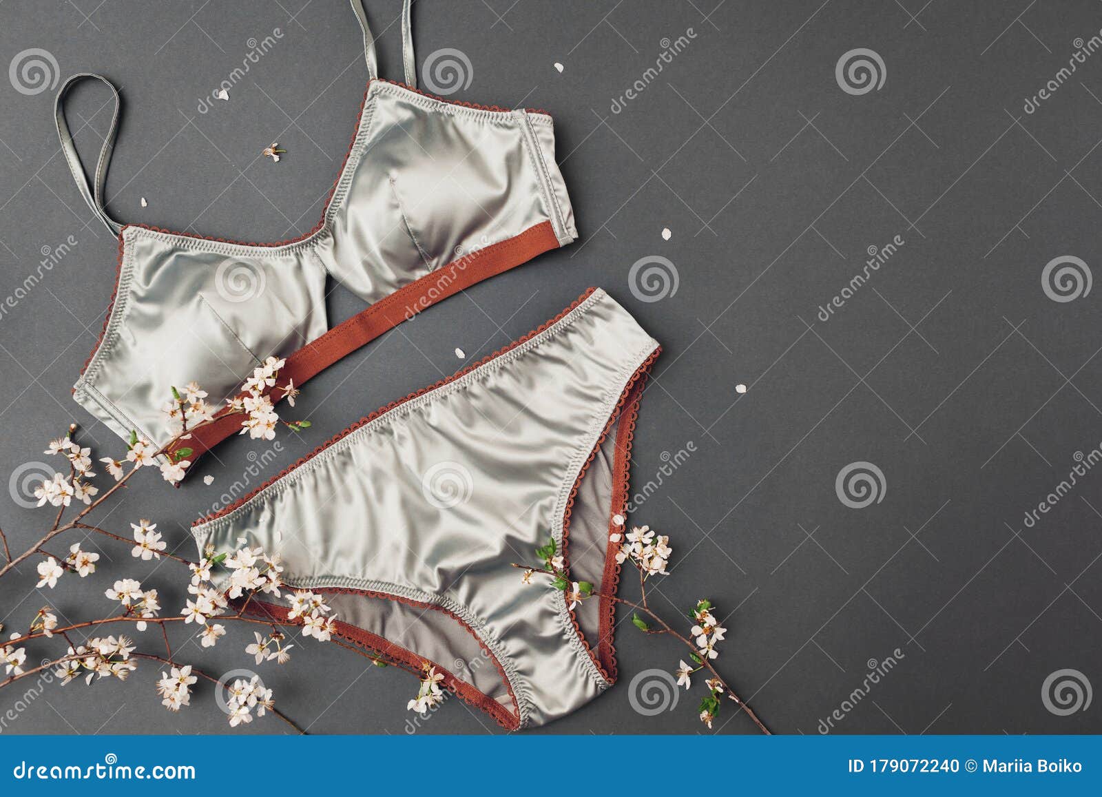 Set of Female Silk Underwear with Spring Blossom. Satin Bra with Lace and  Panties Stock Photo - Image of romantic, comfortable: 179072240