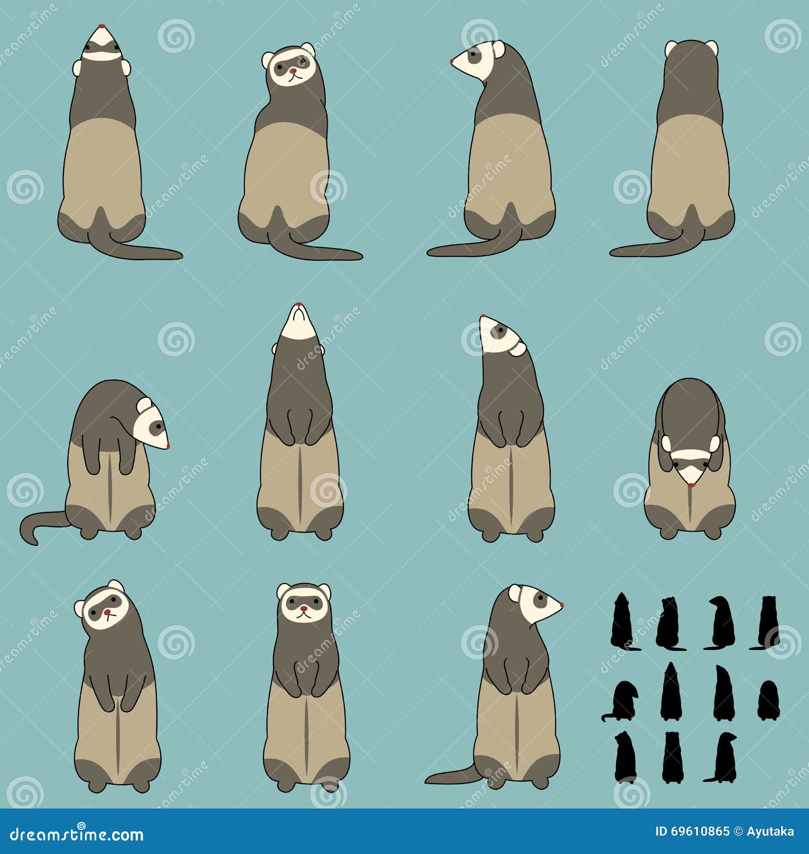 Set of Ferret Sitting Poses Stock Vector Illustration of simple