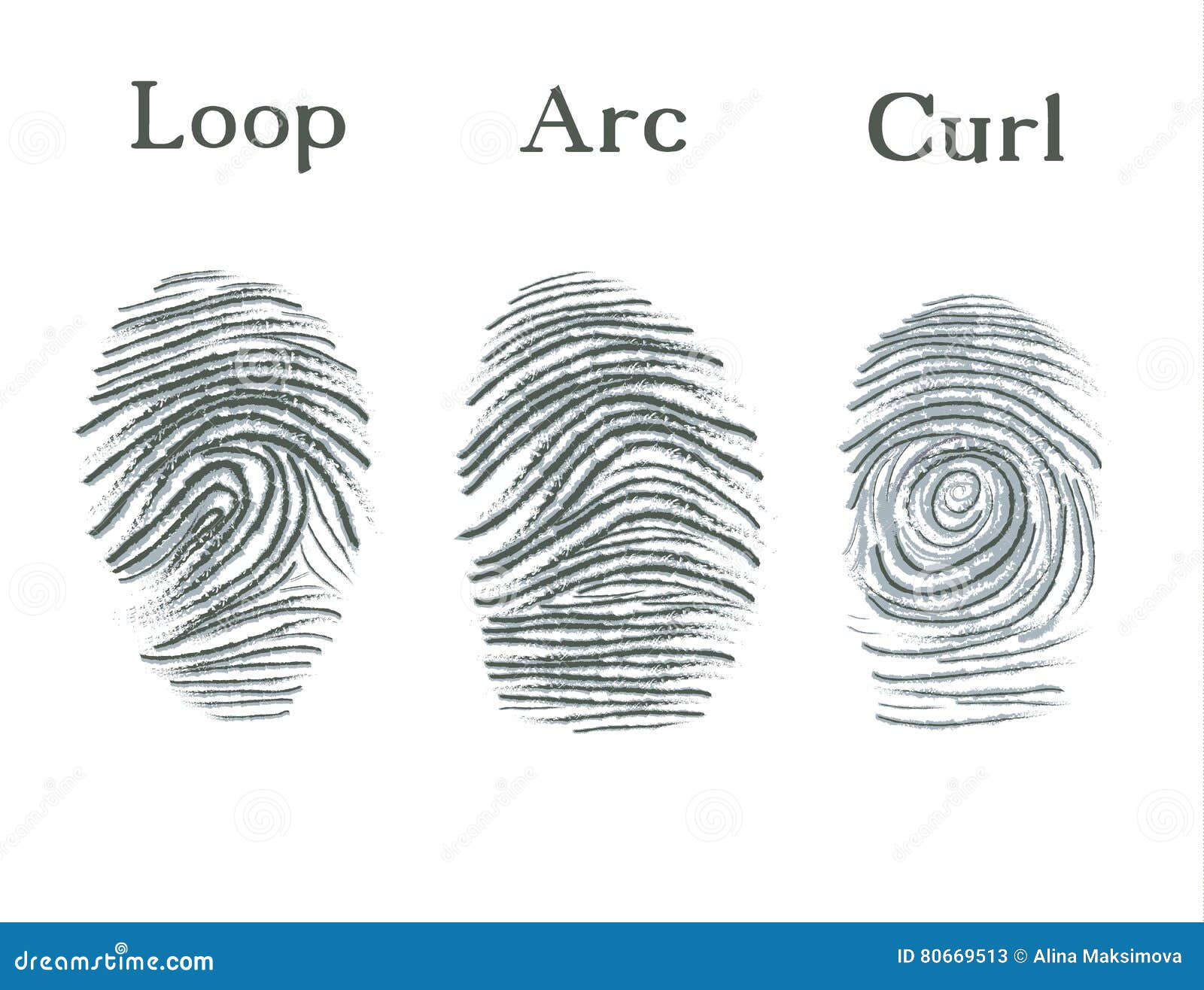 loop fingerprints